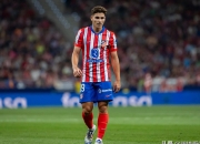 1xBit体育中国官网-马竞牢牢占据联赛榜首，佩德里高光表现的简单介绍