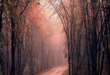 1xBit体育亚洲官网-强队大战激烈，赛果惊人引爆赛场