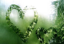 1xBit体育网址-沃尔夫斯堡全线火热，蓄势待发挑战不怀好意的对手