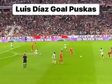 迪马利亚破门无效,巴黎无缘决赛再次的简单介绍 迪马利亚破门无效,巴黎无缘决赛再次的简单介绍