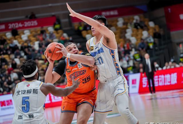 上海男篮回暖崛起，迎来季后赛希望的简单介绍