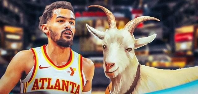 亚特兰大未来前景：新星耀眼，崭露头角的简单介绍